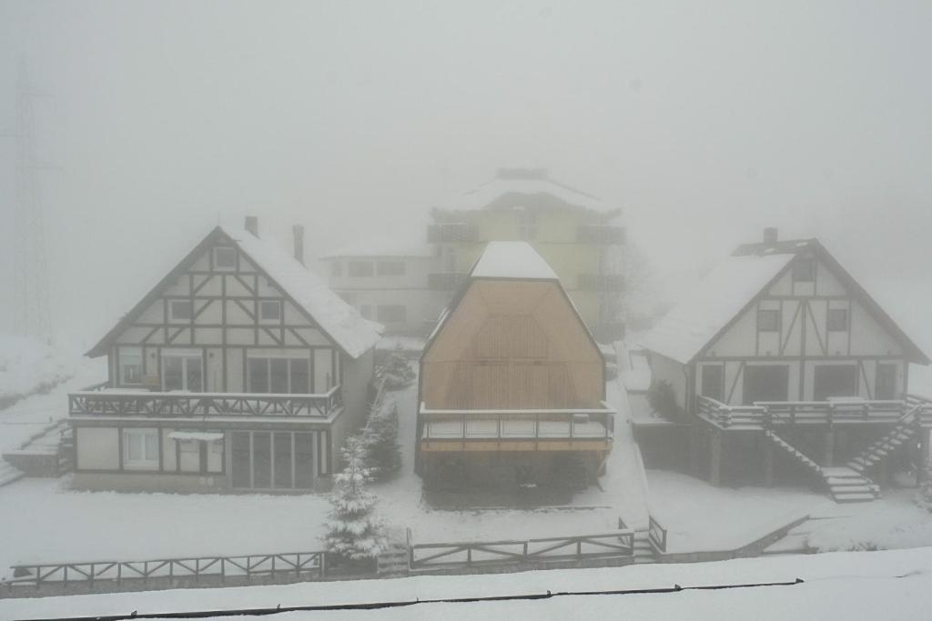 President Kop Alex - Resim 18