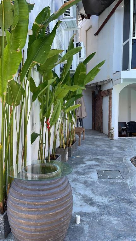 Mesa Garden Villa - Resim 15