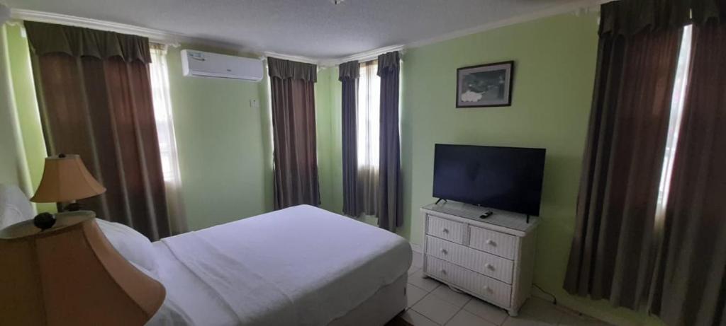 Cap Estate的住宿－Burns' Apartment，一间卧室配有一张床和一台平面电视