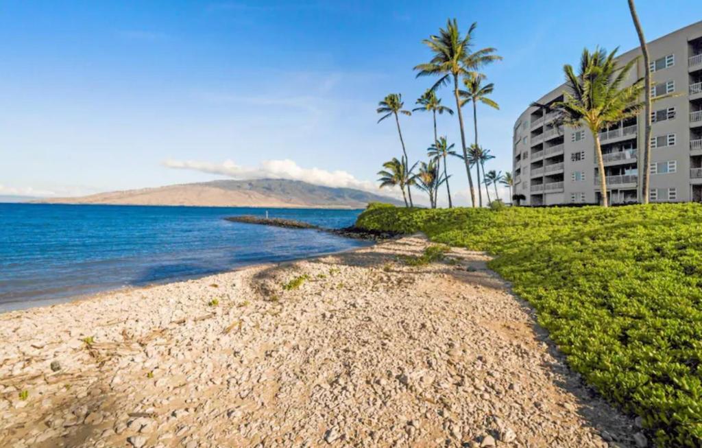 a beach with palm trees and a building at Menehune Shores by Coldwell Banker Island Vacations in Kihei