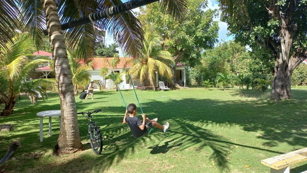 德豪特漁村的住宿－勒普瑞鄉村公寓式酒店，坐在棕榈树上秋千的男孩