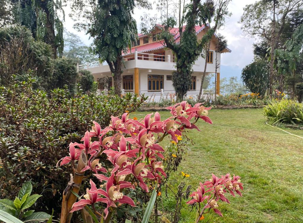 un jardín con flores rosas frente a una casa en Bloomfield Farmhouse and Eco-Resort en Darjeeling