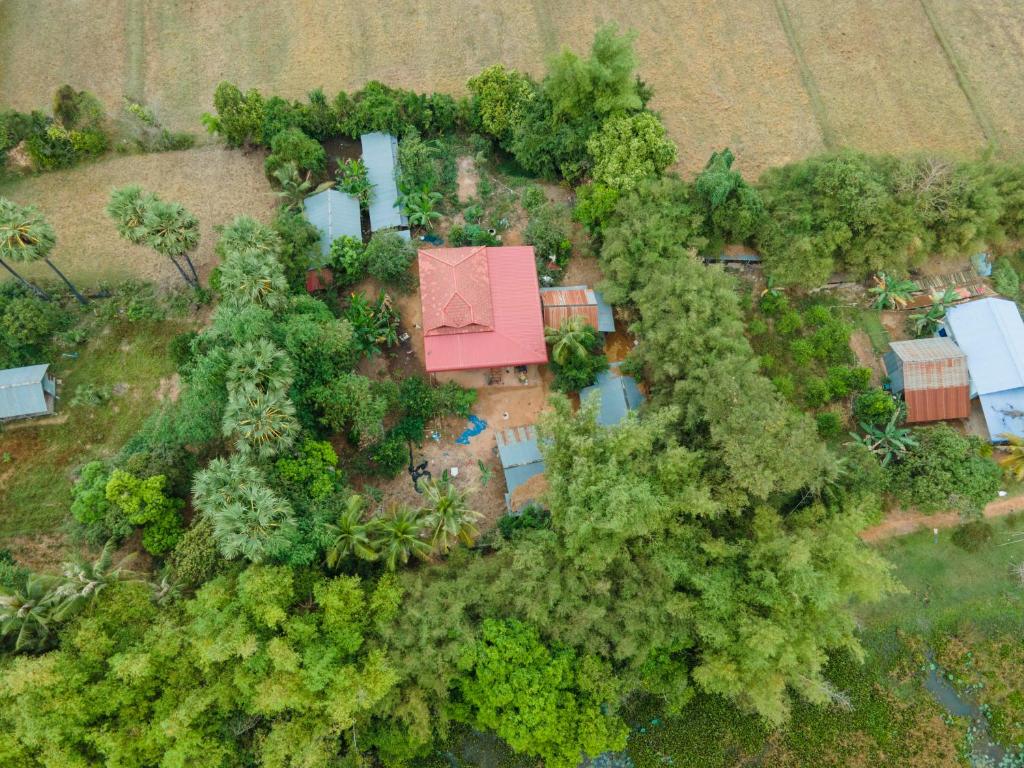 an aerial view of a house surrounded by trees at Community Homestay - BAKONG 