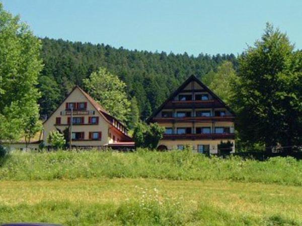 a group of buildings in a field with trees at Gasthof Erlenhof in Alpirsbach