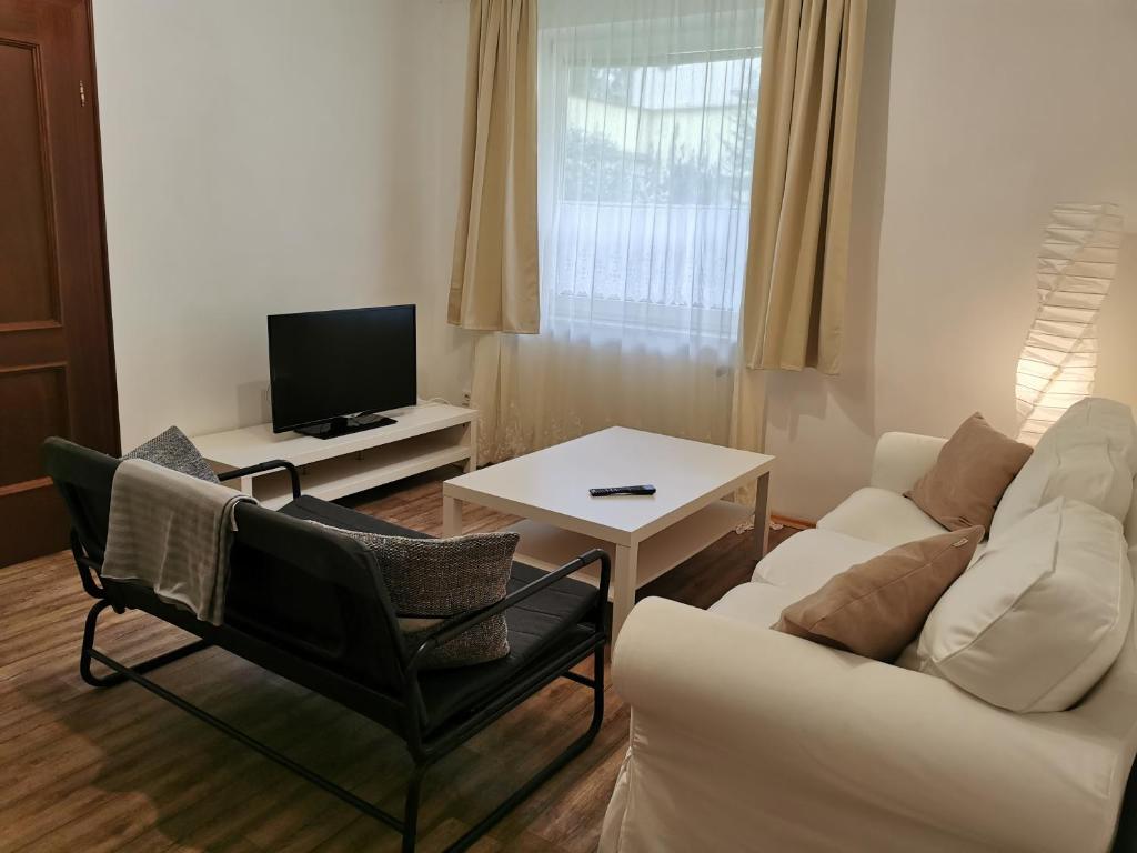 uma sala de estar com um sofá branco e uma televisão em Ferienunterkünfte in Sievering em Viena