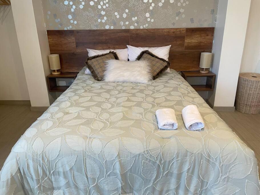 萬卡約的住宿－Huancayo Suite，一间卧室配有一张床,上面有两条毛巾