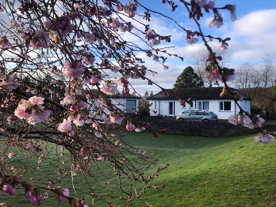 a house with a car parked in a yard with pink flowers at Meadowside Troutbeck Bridge, Windermere sleeps 5-6 in Windermere