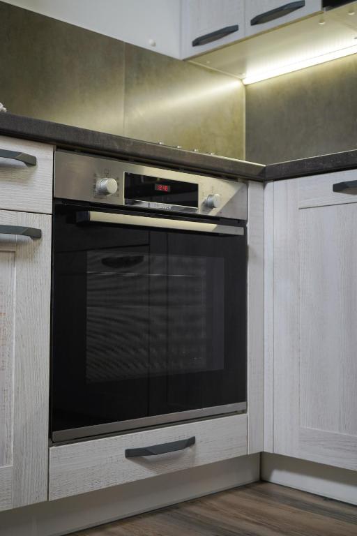 Kuchyň nebo kuchyňský kout v ubytování Hofmann Apartment