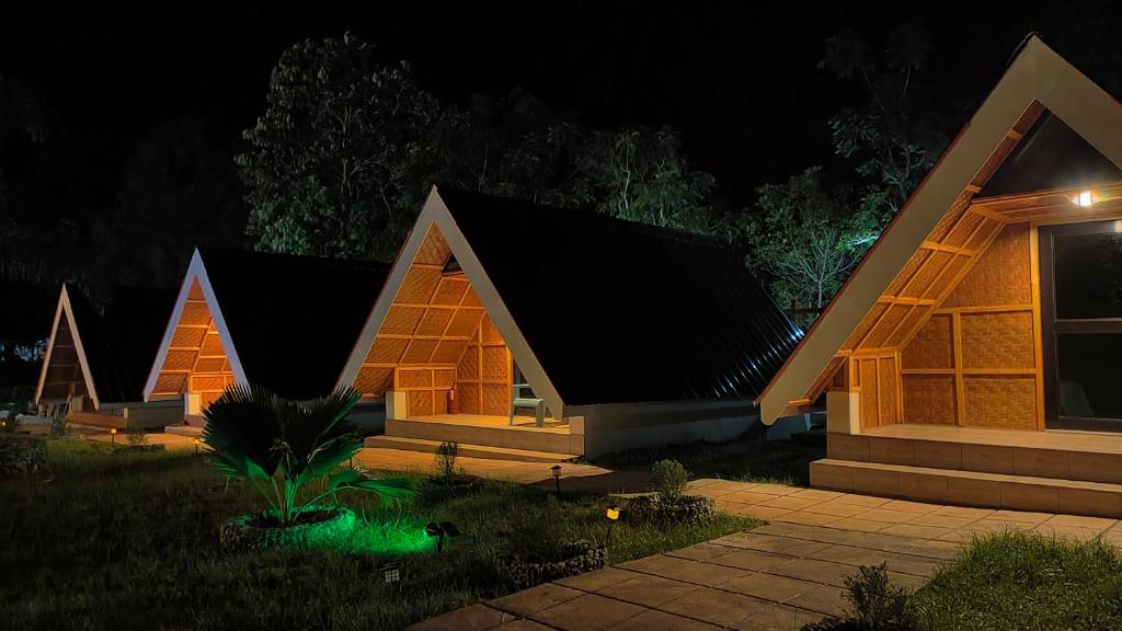 a house at night with green lighting in front at Dwarf Guest House in Siquijor