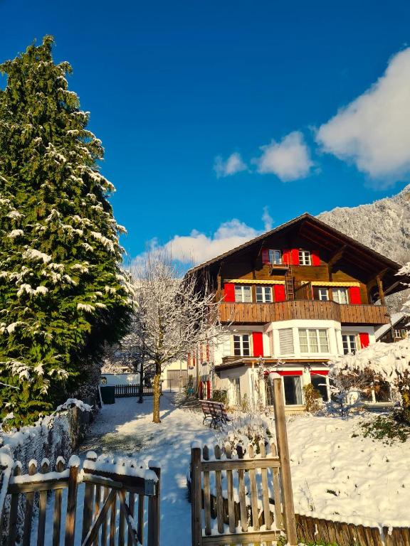 Adventure Guesthouse Interlaken - Resim 8