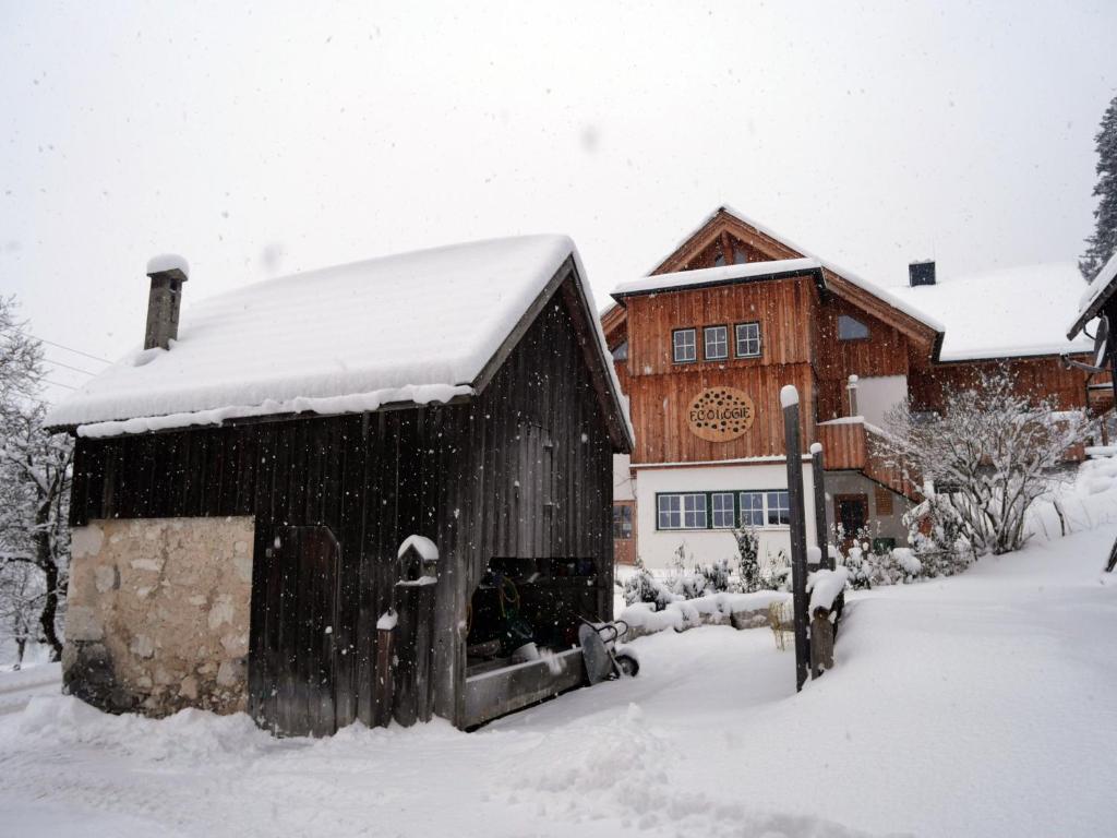 Ecologie Grundlsee talvel