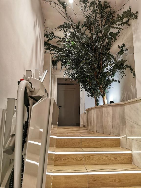 Fotografie z fotogalerie ubytování Hotel Don Rodrigo v destinaci Palencia