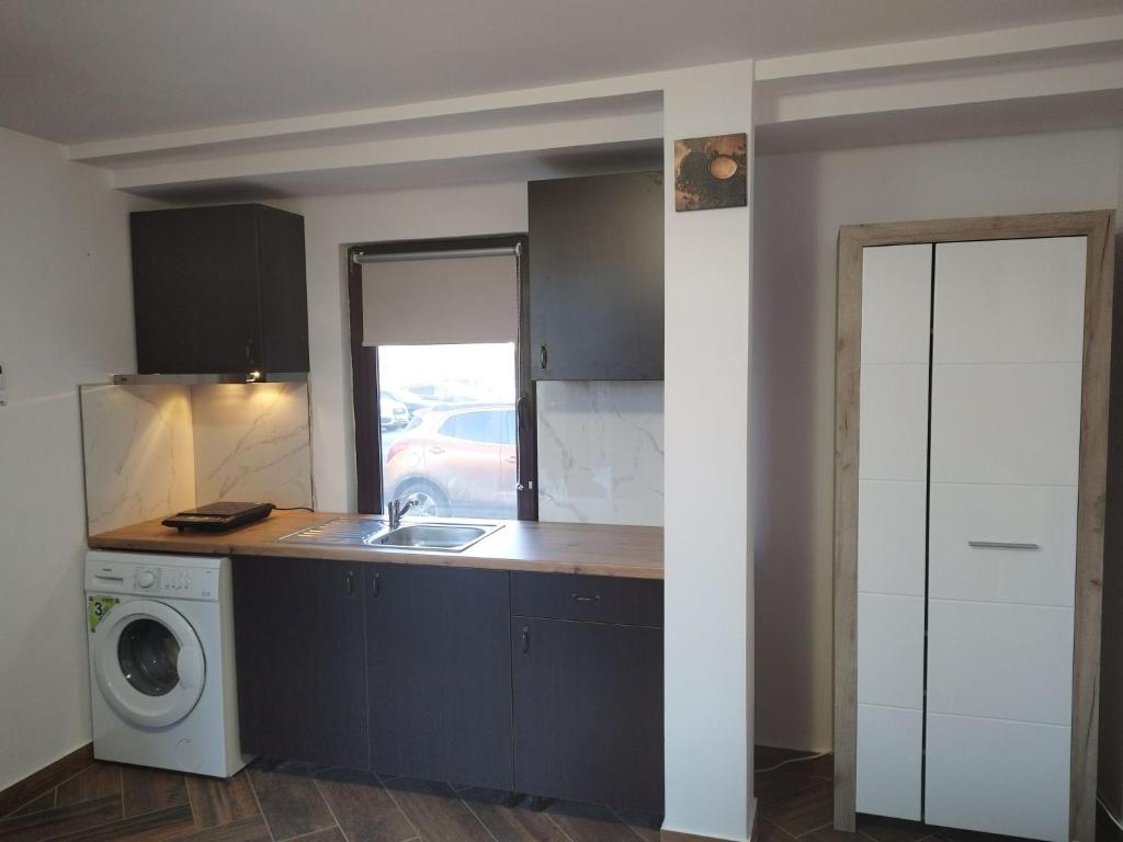 uma cozinha com um lavatório e uma máquina de lavar roupa em Nice Studio in Villa ELENA Ultracentral Pallas Mall em Iaşi