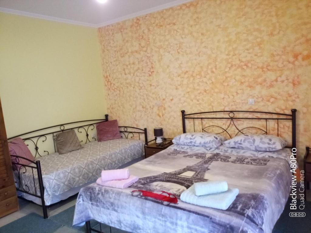 een slaapkamer met 2 bedden en een bank bij CHRYSPY Toulatos Studios in Pouláta