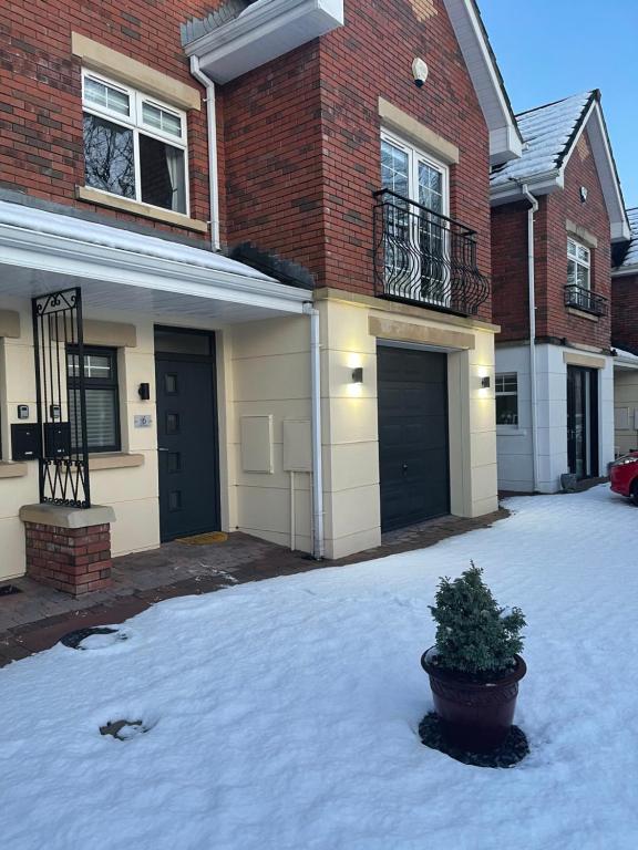 a house with a potted plant in the driveway at St Elmos Townhouse in Derry Londonderry