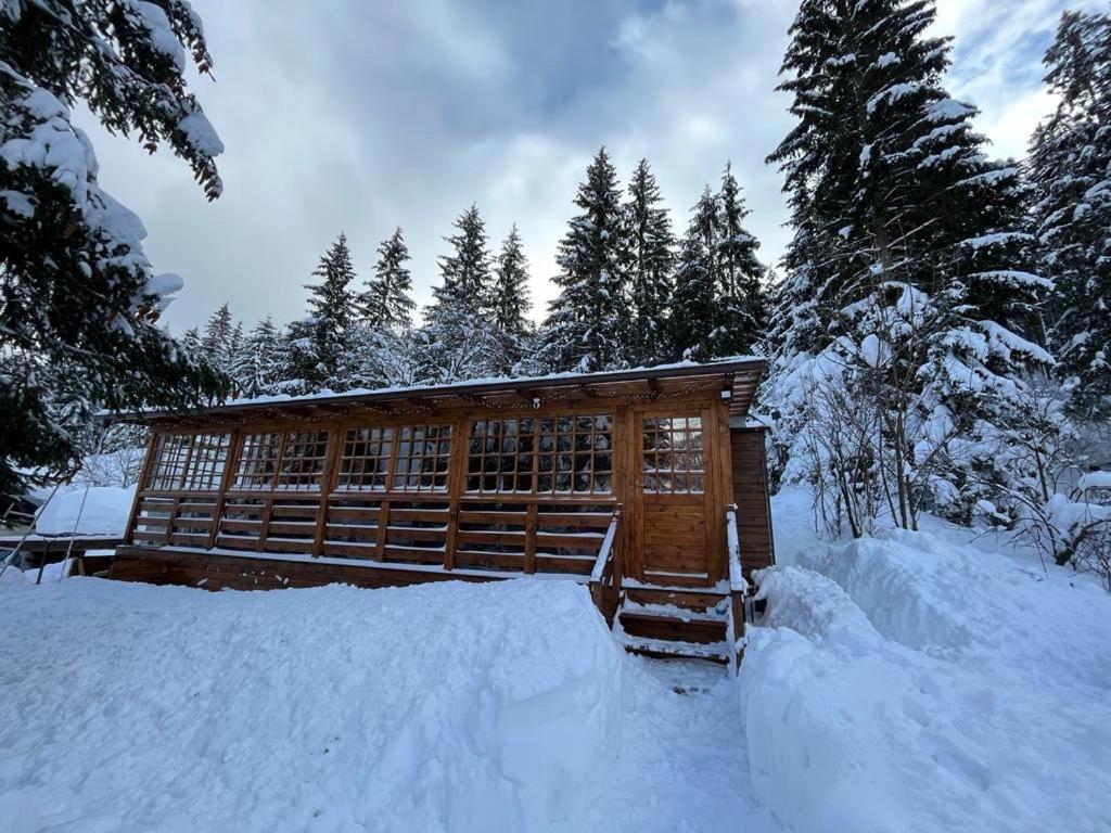 eine Hütte im Schnee mit schneebedeckten Bäumen in der Unterkunft Chata Bella Mistríky in Donovaly