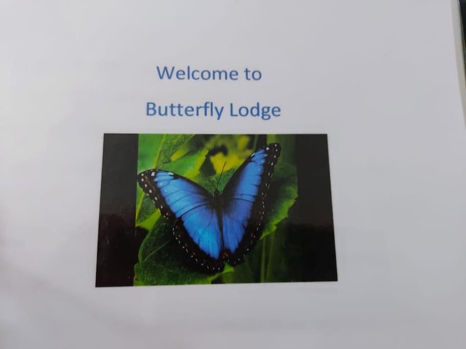 Fotografie z fotogalerie ubytování Butterfly lodge v destinaci Swansea