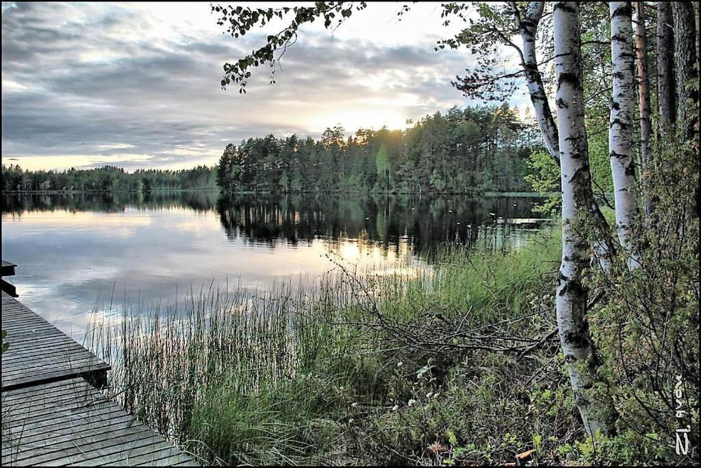 vistas a un lago con árboles y un muelle en Kultajärven Loimu60, en Villala