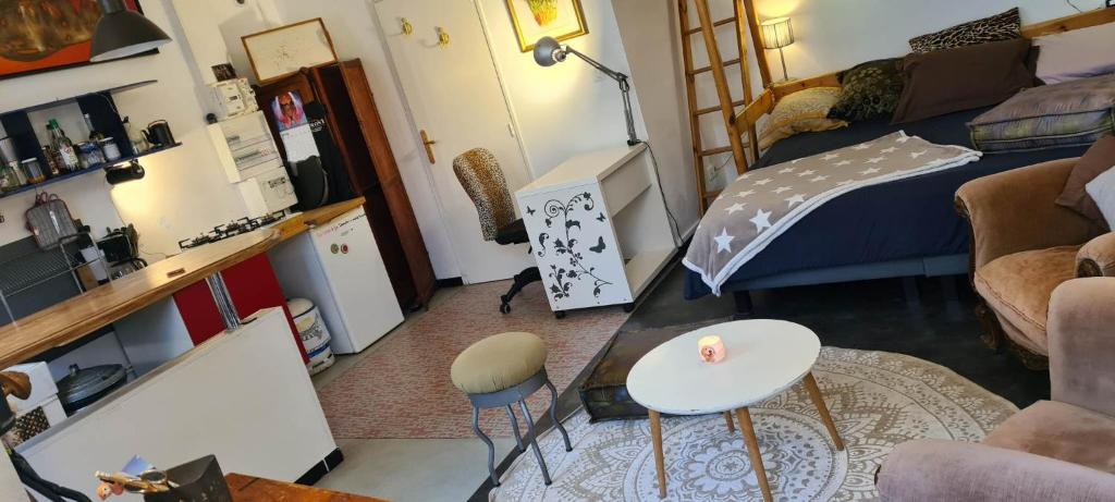 sala de estar con cama, mesa y sillas en Chaleureux studio indépendant, en Encausse-les-Thermes