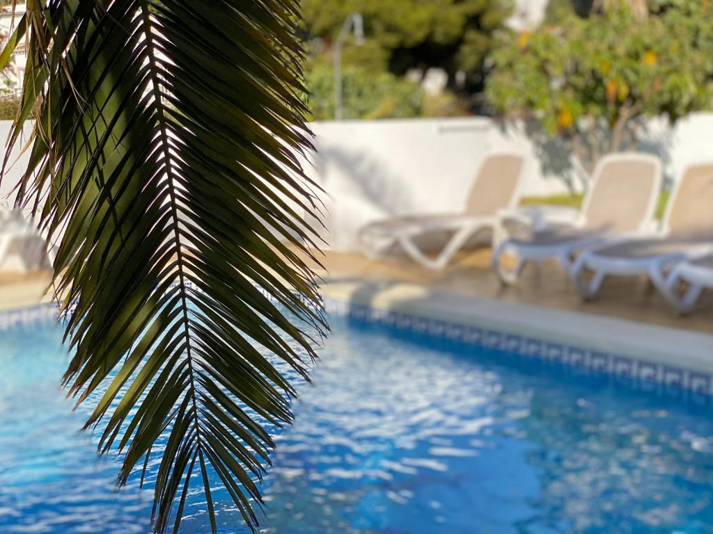Bazén v ubytovaní Villa Sandra Al Fresco Apartment alebo v jeho blízkosti
