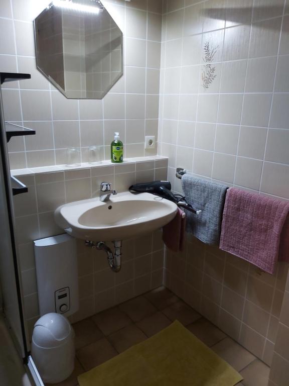 Koupelna v ubytování Ferienwohnung Munzert