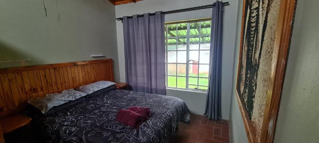 a bedroom with a bed and a window at Aloe Inn Guest Farm in Piet Retief