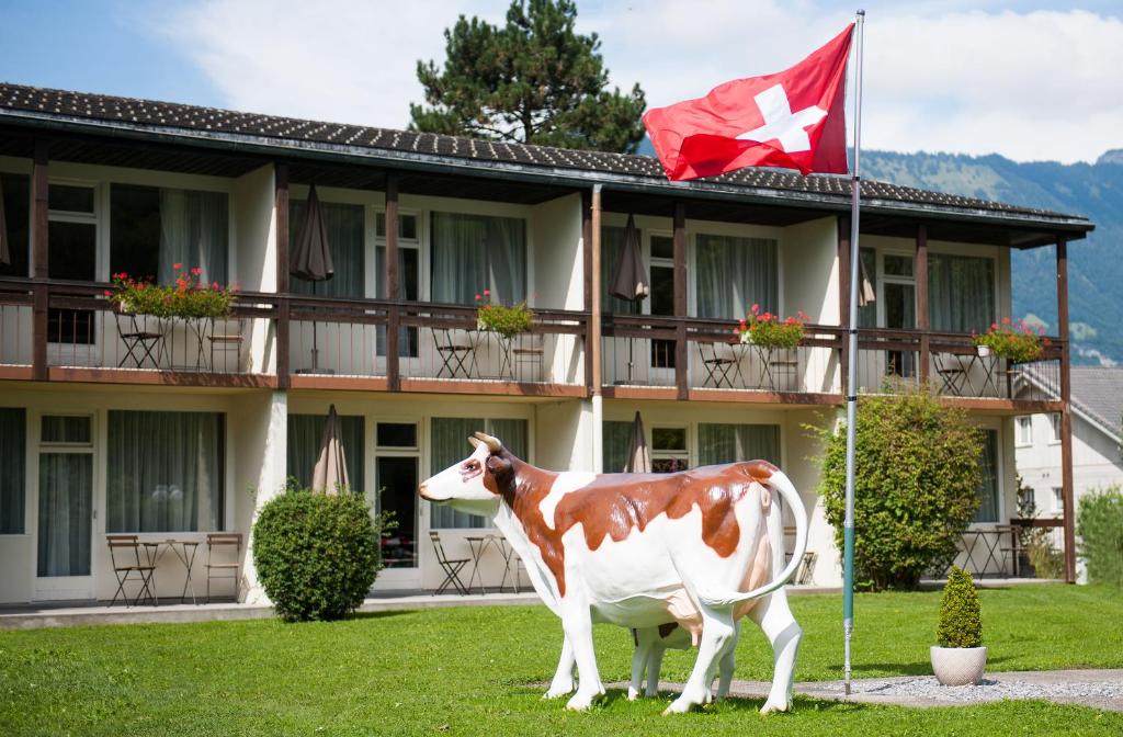 Zvířata v hotelu nebo okolí