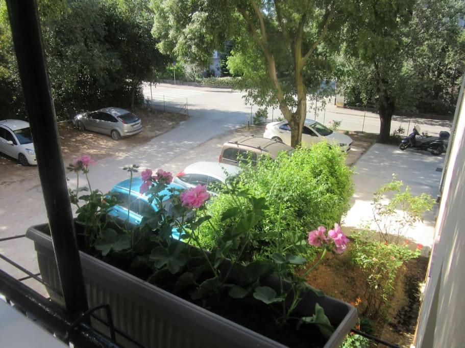 Vonkajšia záhrada v ubytovaní Apartman Ira - prelijep stan + besplatni parking
