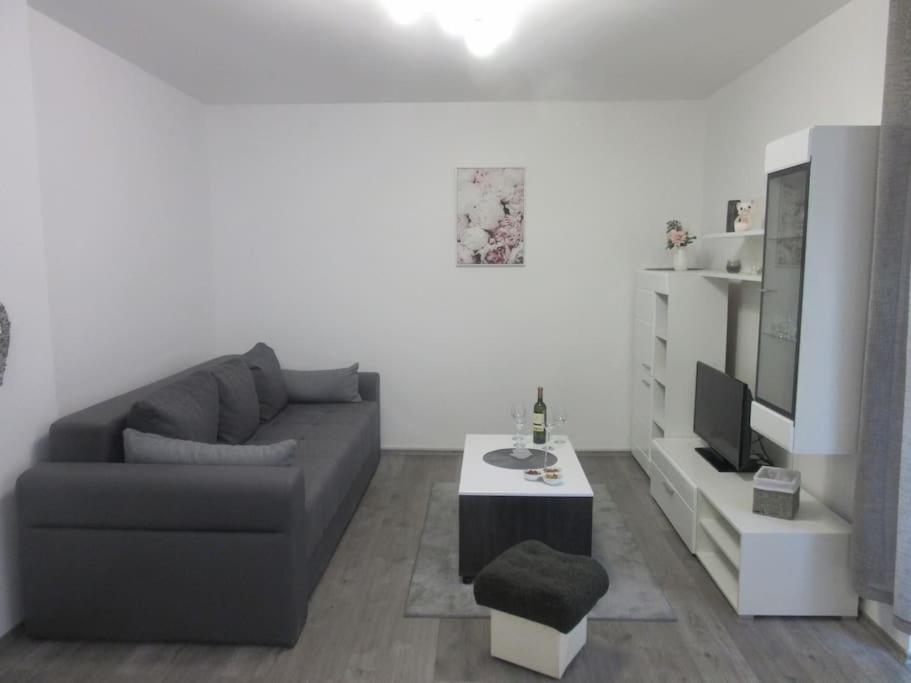 Televízia a/alebo spoločenská miestnosť v ubytovaní Apartman Ira - prelijep stan + besplatni parking