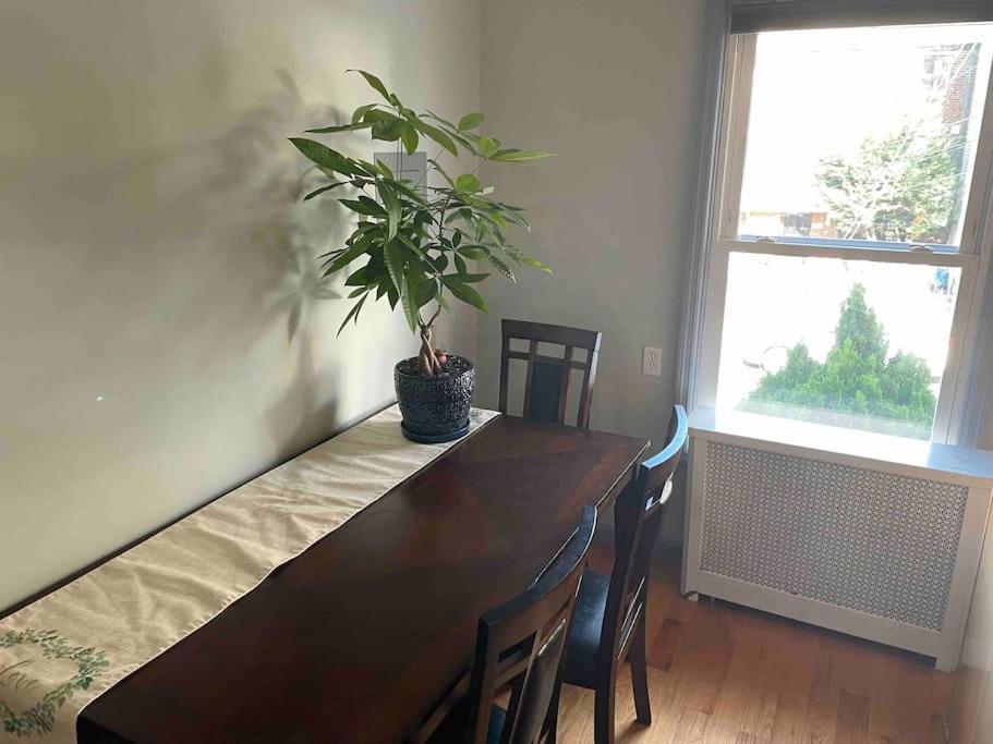 a dining room table with a potted plant on it at Wonderful 2 Bedroom in the heart of Astoria in Steinway