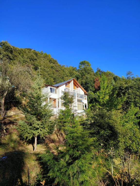 a house on the side of a hill with trees at Ziran retreat in Mukteswar