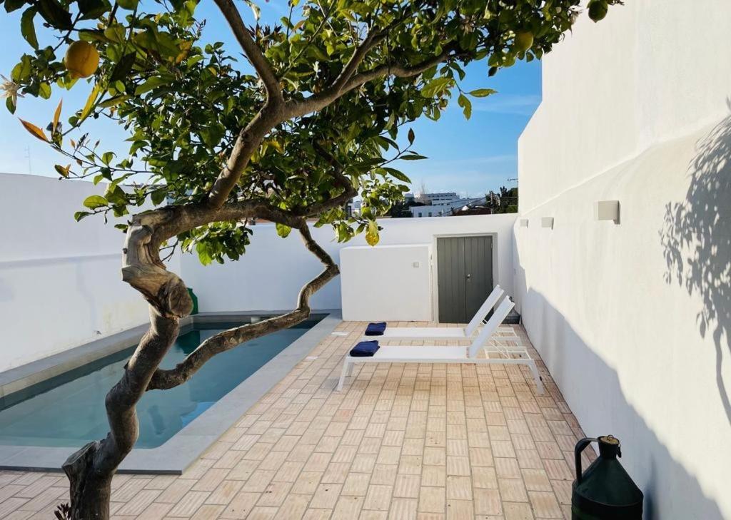 a tree on the roof of a house with a pool at Casa da Tavira in Tavira