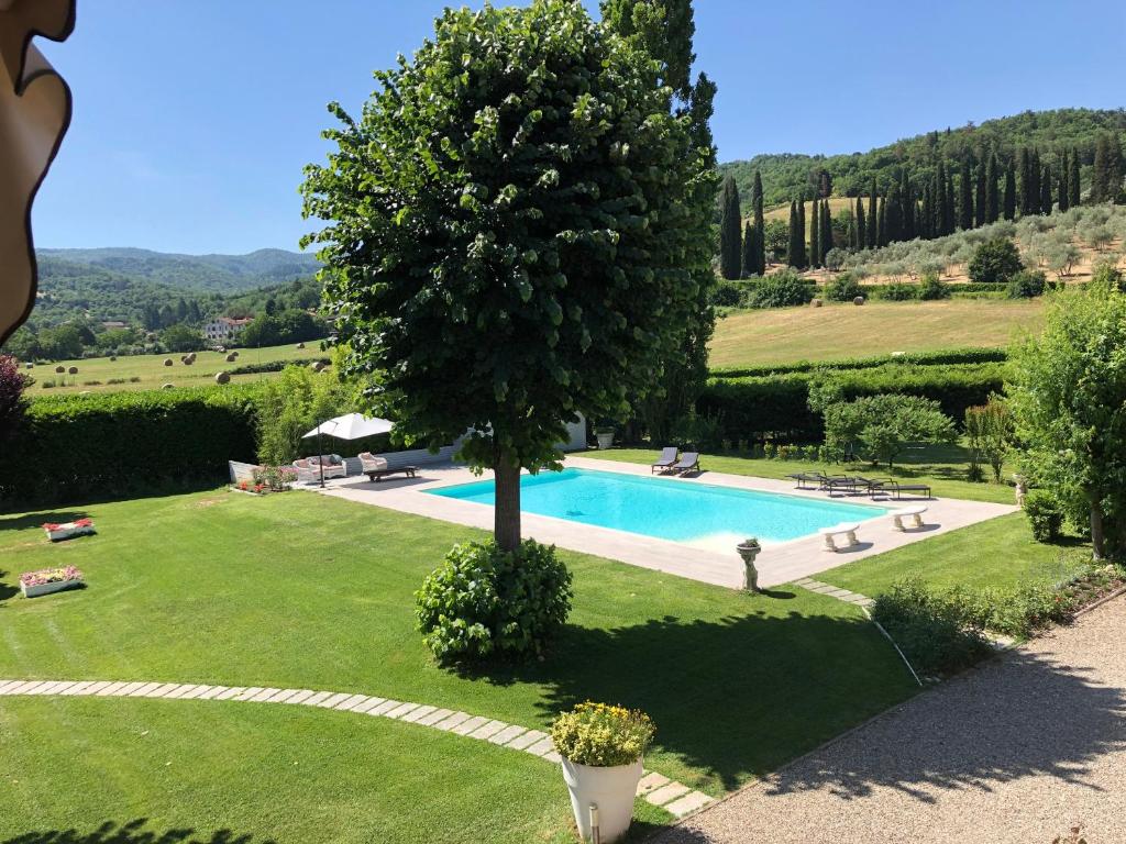 a swimming pool in a yard with a tree at Villa Giuliana in Arezzo