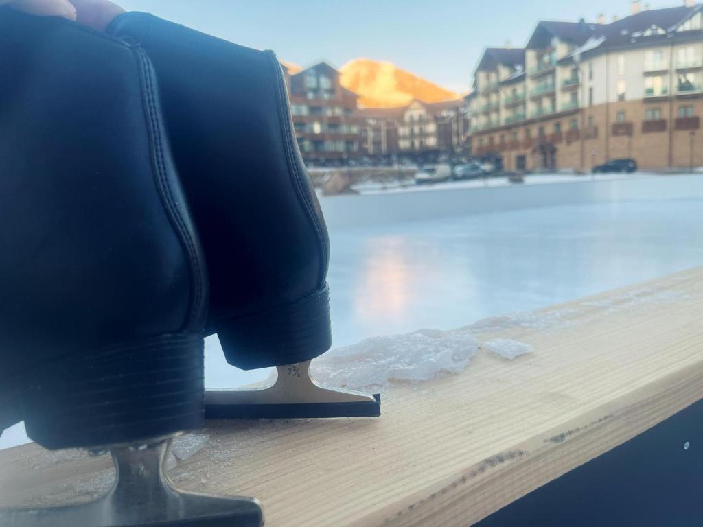 Delux apartment next to ice rink - отзывы и видео