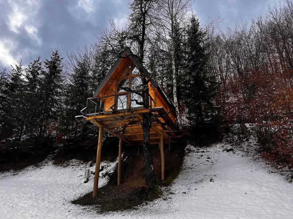 Tara Place - Camp Rabrenovic talvel