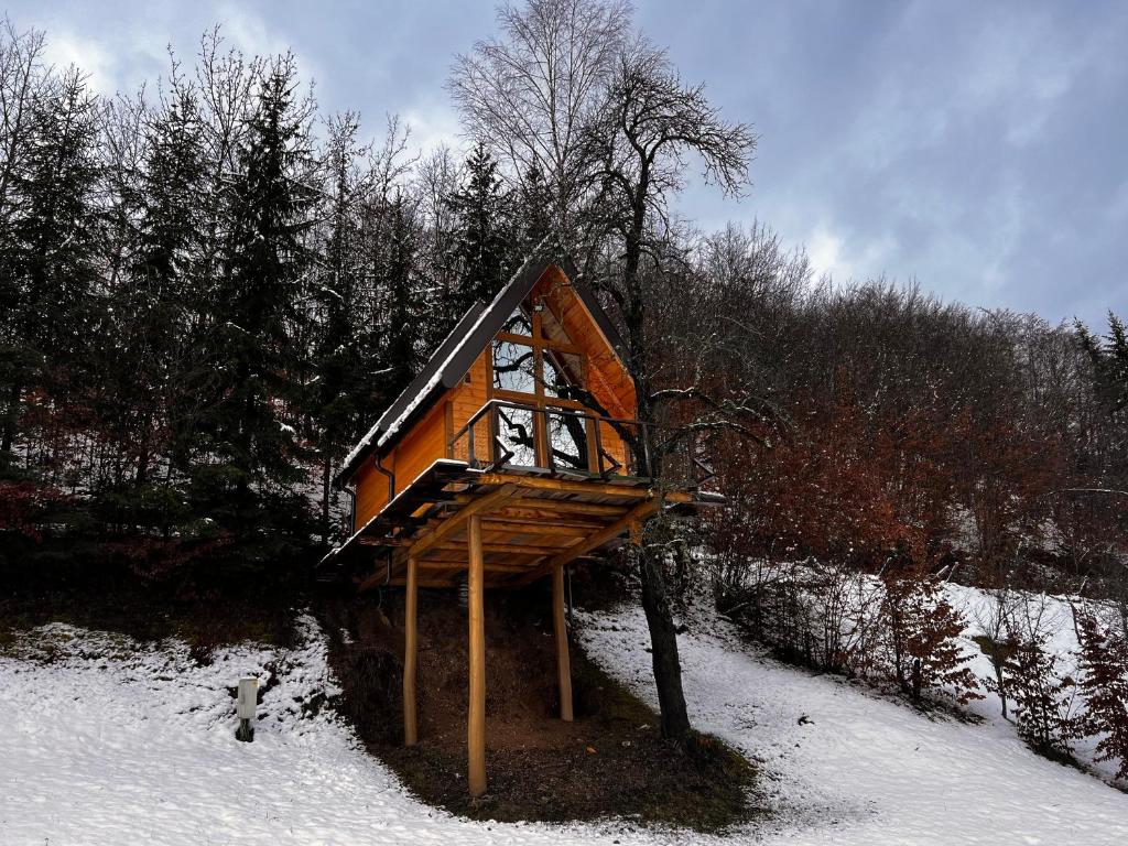 Tara Place - Camp Rabrenovic talvel