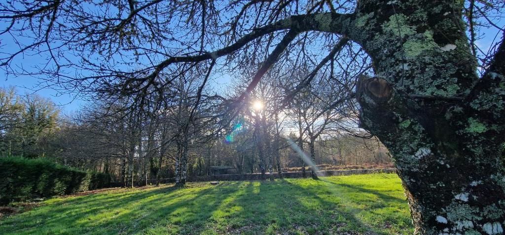 Habitaciones La Cuevona de Guitiriz,Parga, en el camino norte Lugo - 6