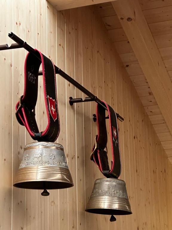 Fotografie z fotogalerie ubytování Chalet Les Louettes à Sapinhaut Canton du Valais v destinaci Saxon