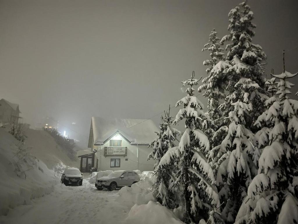 a snow covered christmas tree in front of a house at Casa Bunicutei in Ranca
