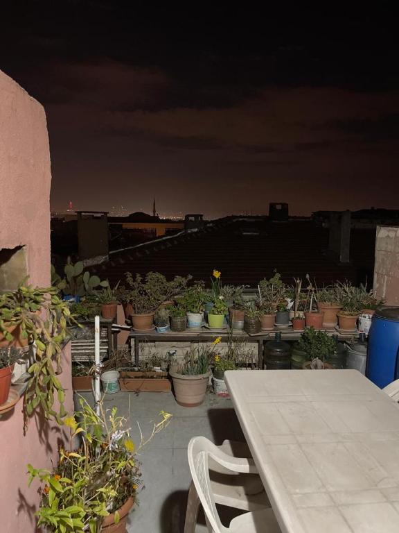 a table and chairs and potted plants on a roof at Daire in Istanbul