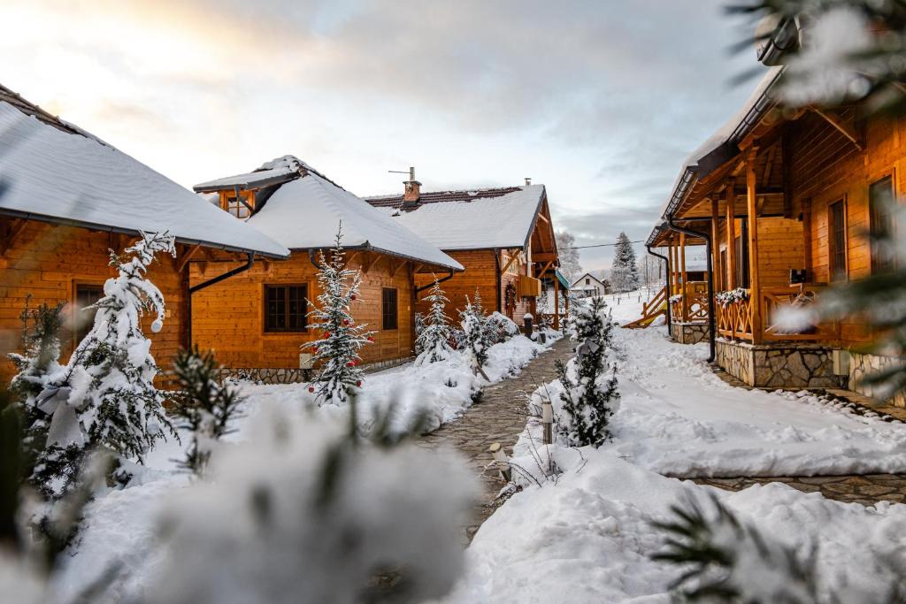 een groep houten gebouwen bedekt met sneeuw bij Kedar selo Goč in Goč