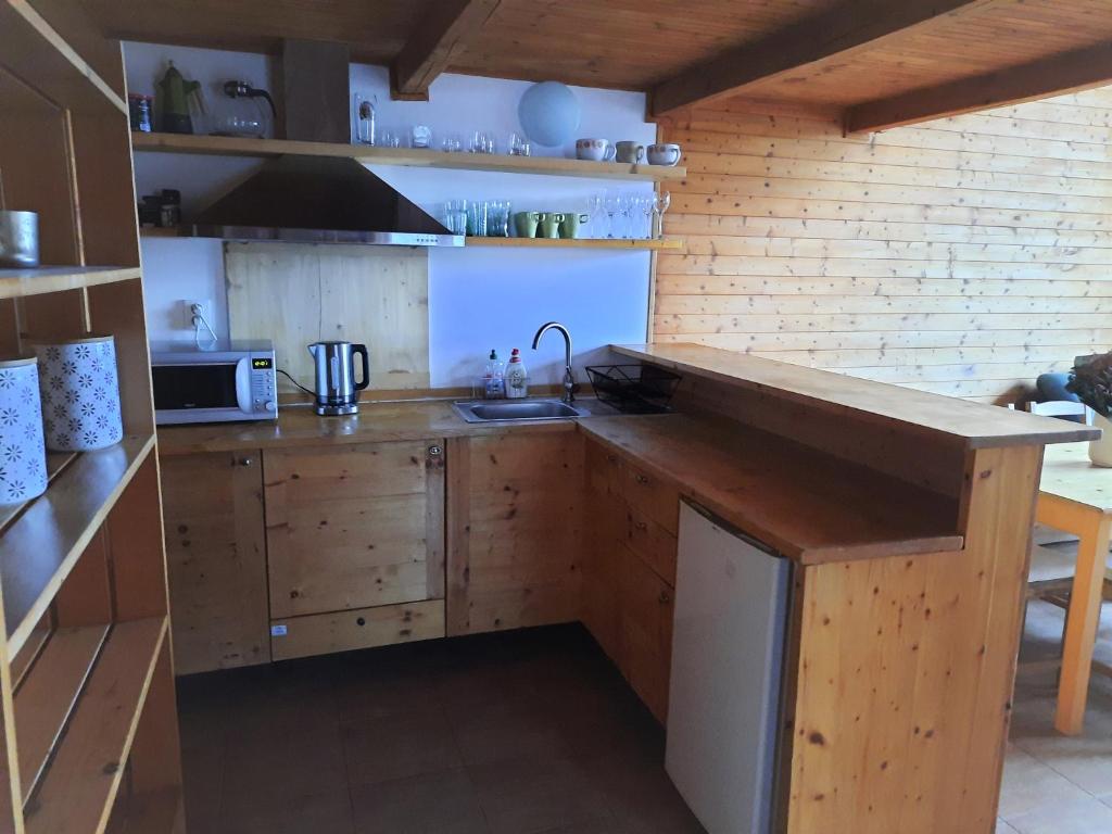 Kuchyň nebo kuchyňský kout v ubytování Velký apartmán Cihlarka