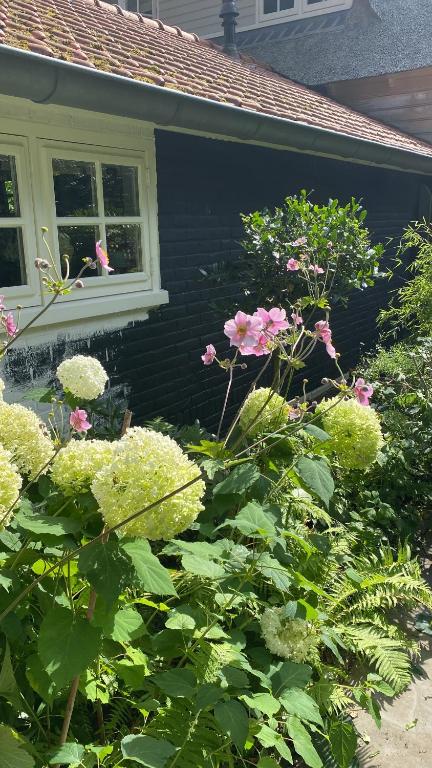 Zahrada ubytování De Schuilhoek Private Guesthouse