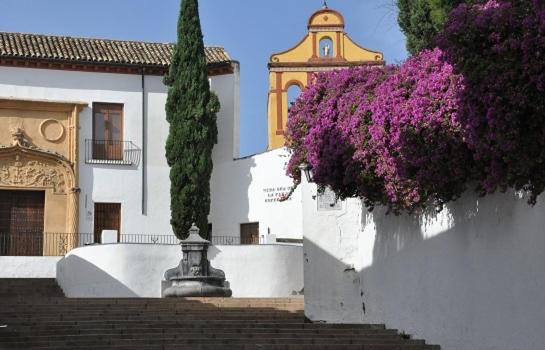 Kép El patio de San Miguel szállásáról Córdobában a galériában