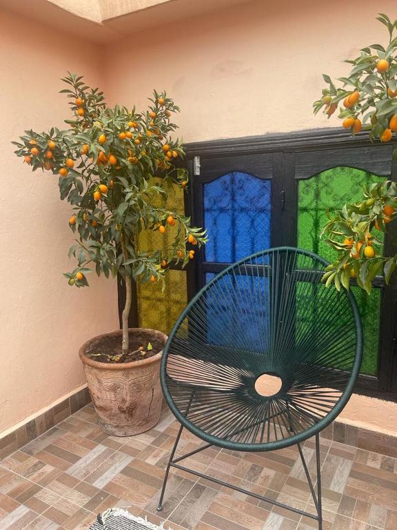 Zahrada ubytování Riad Darnooz
