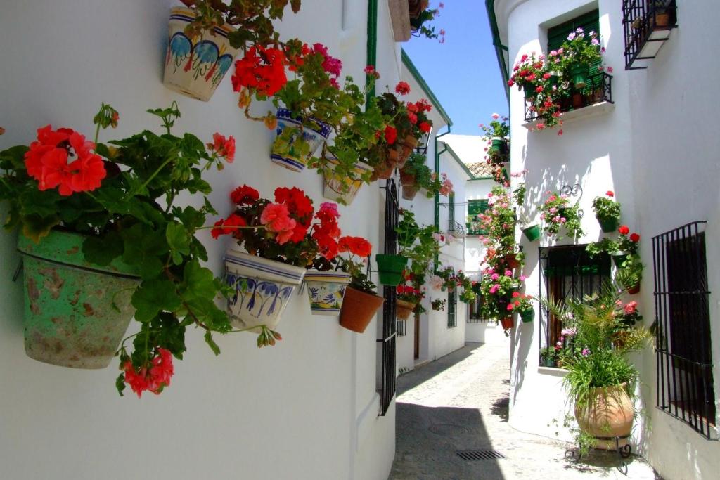 Budova, kde se bed and breakfast nachází