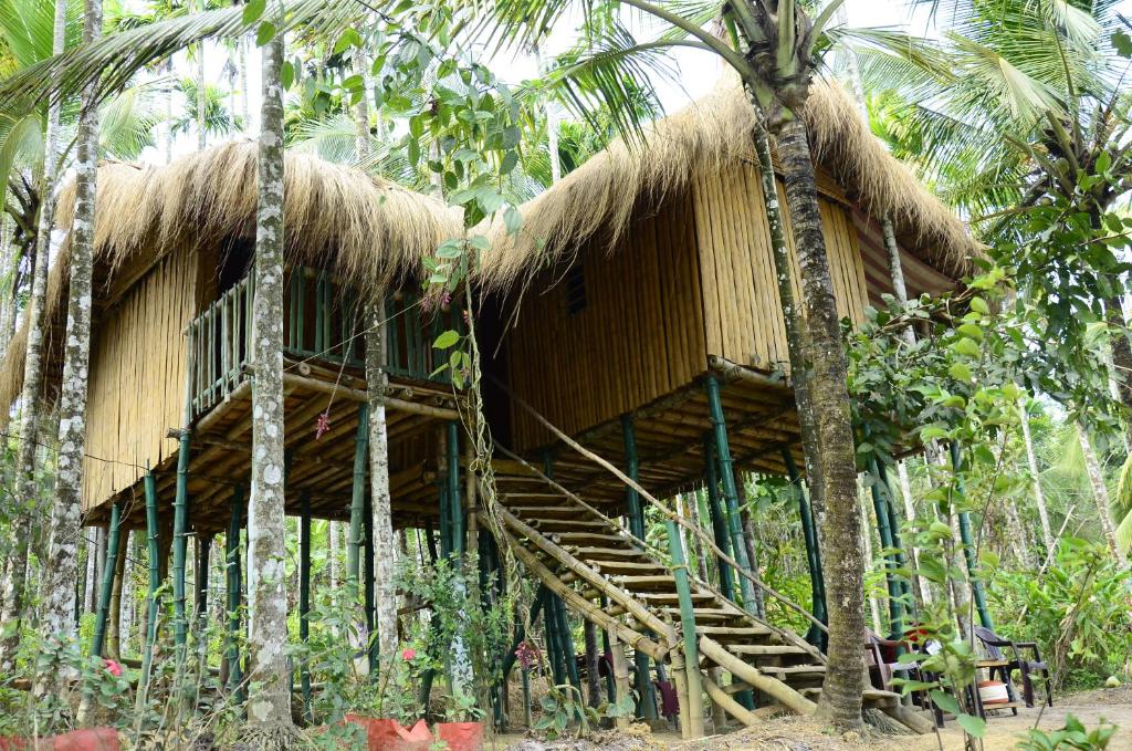 a building with a thatched roof in the jungle at Greenways Tree House and Mud House in Chekadi