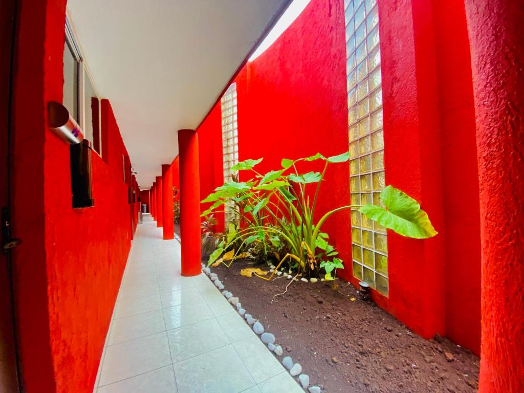 Fotografie z fotogalerie ubytování Privilege v destinaci Coatzacoalcos