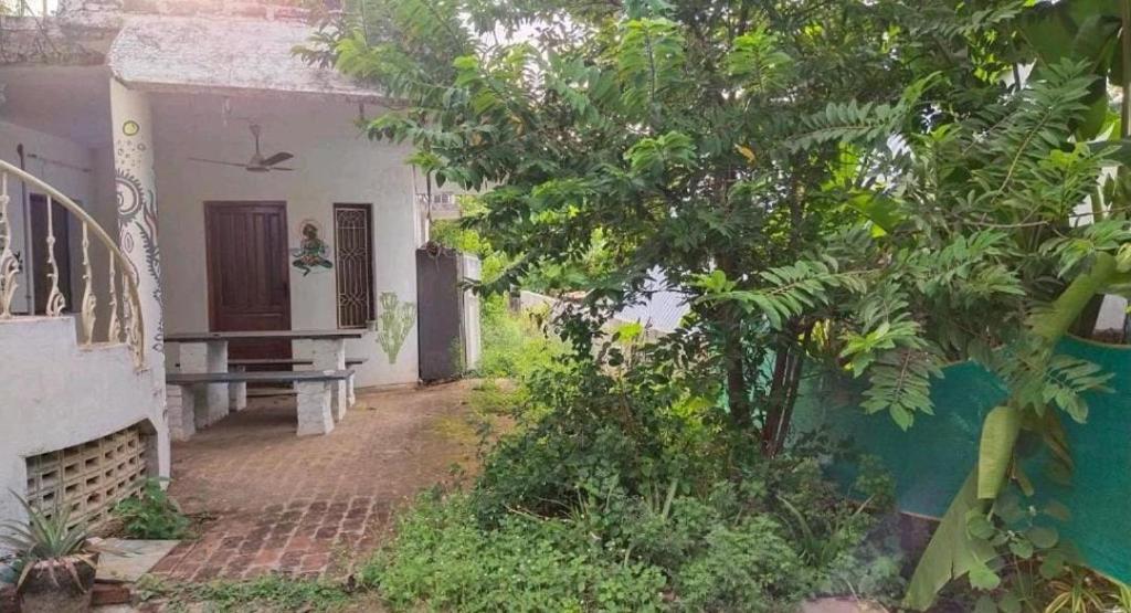 Funk monk homestay