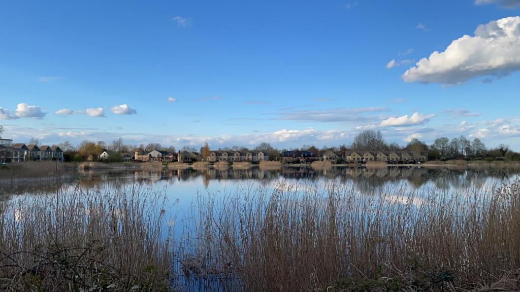 vista su un lago con alberi e case di Cotswolds Lakehouse, with hot tub & spa access, Lower Mill Estate a Somerford Keynes